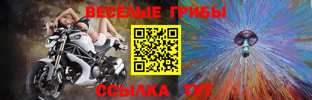 Псилоцибиновые грибы Psilocybe  Вход с VPN  где купить   Лениногорск 
